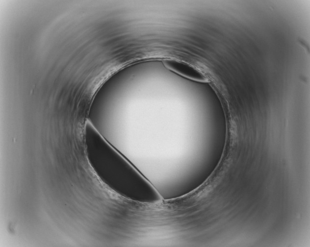 X0000103300993200808291126