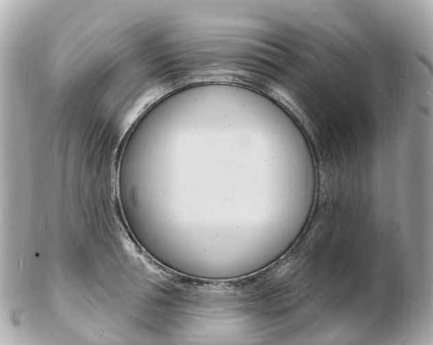 X0000103300994200808291126