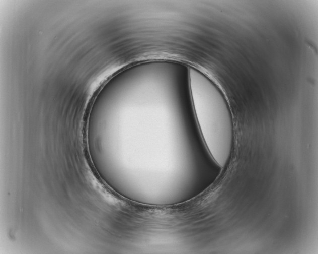X0000103300995200808291126