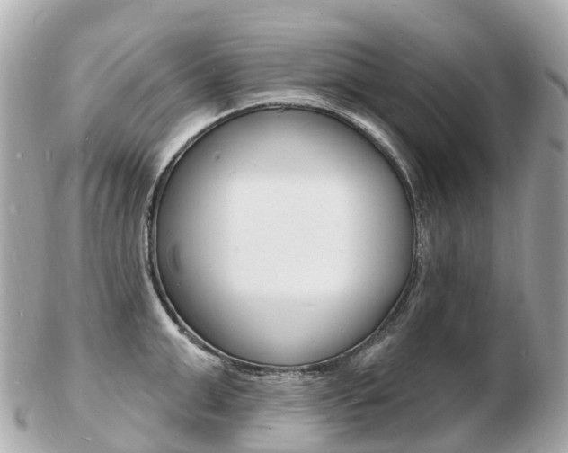 X0000103300999200808291126