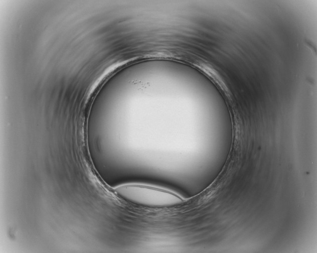 X0000103301000200808291126