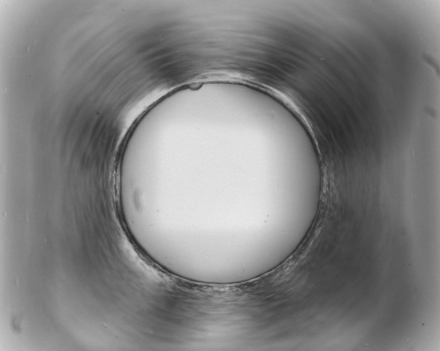 X0000103301003200808291126