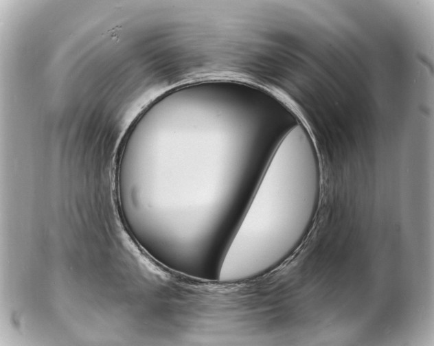 X0000103301005200808291126