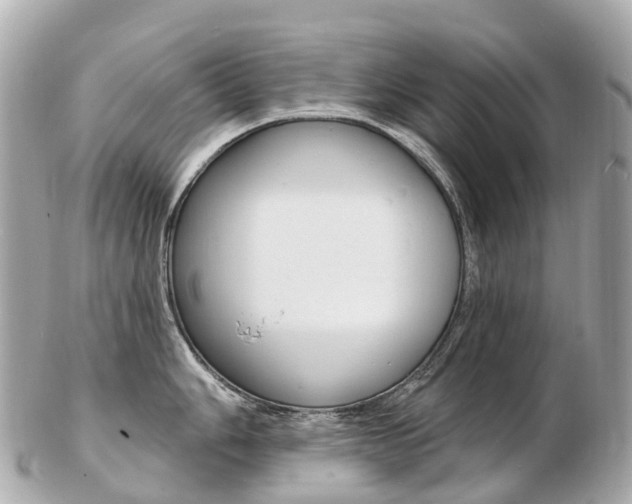 X0000103301006200808291126