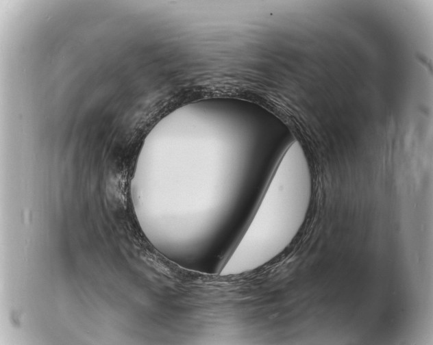 X0000103301010200808291125