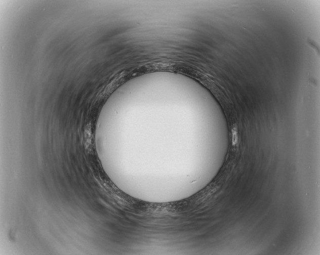 X0000103301011200808291125