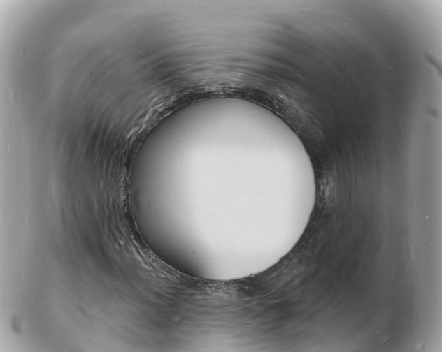 X0000103301012200808291125
