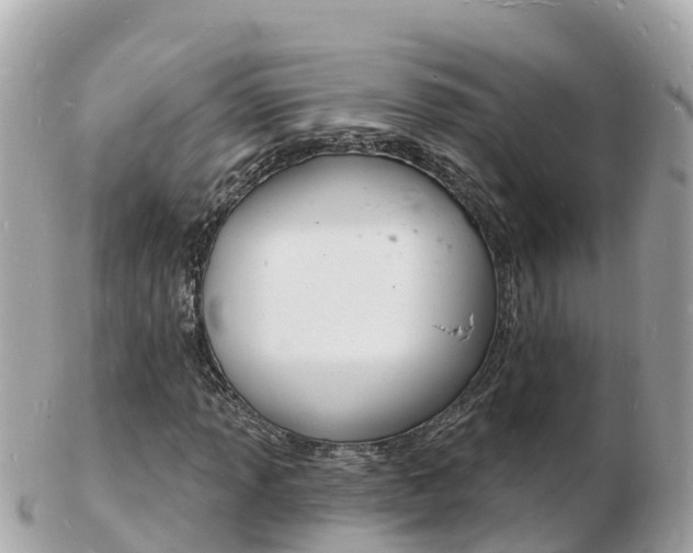 X0000103301013200808291125
