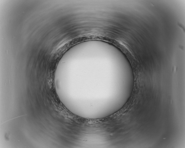 X0000103301015200808291125