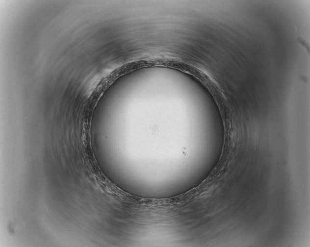 X0000103301016200808291125