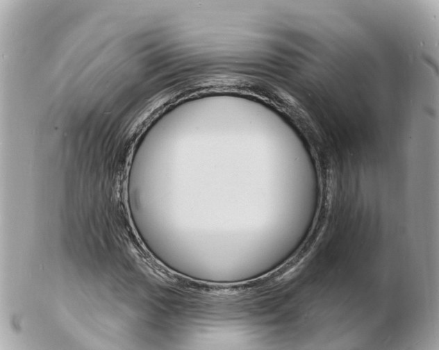 X0000103301017200808291125