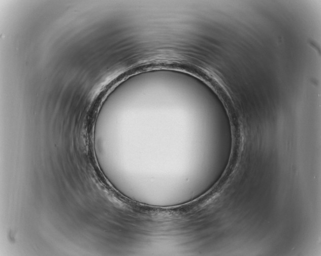X0000103301018200808291125
