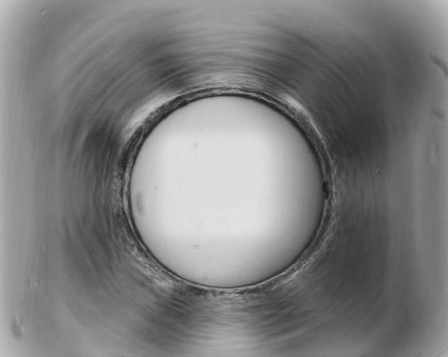 X0000103301019200808291125