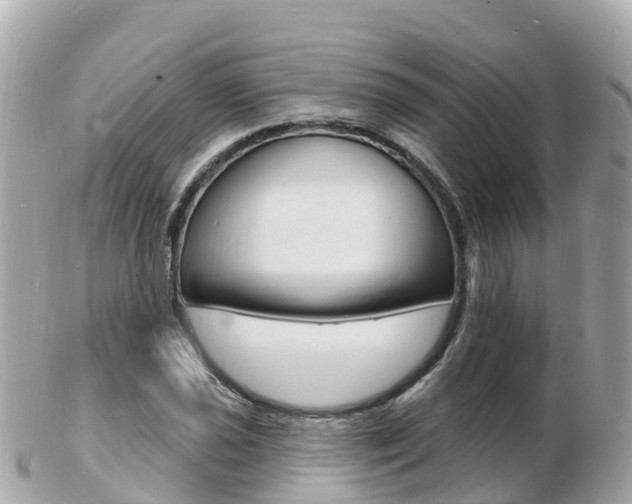 X0000103301021200808291126