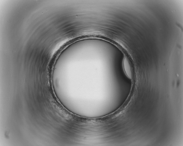 X0000103301022200808291126