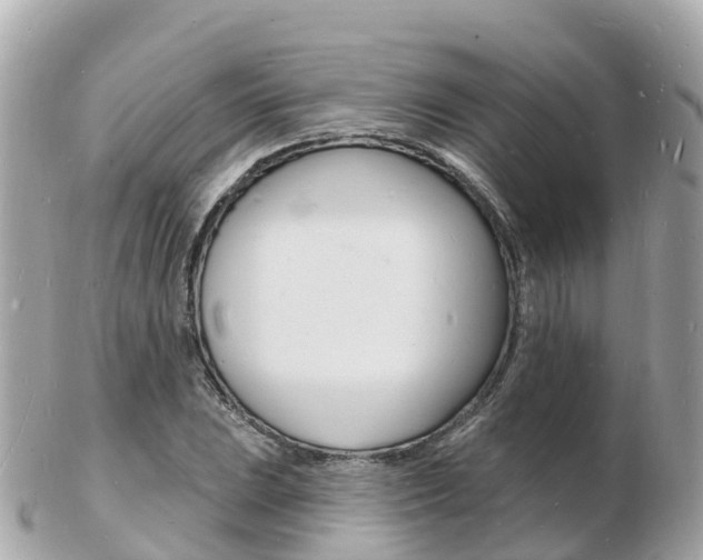 X0000103301023200808291126