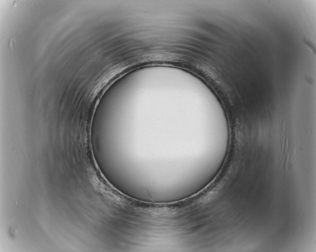 X0000103301025200808291126