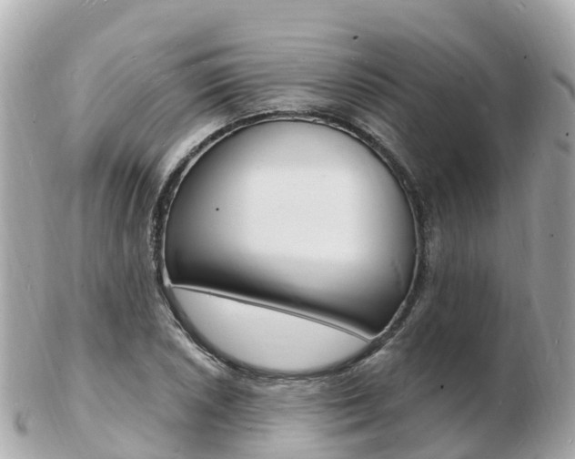 X0000103301026200808291126