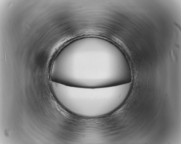 X0000103301027200808291126