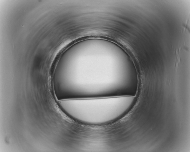 X0000103301029200808291126