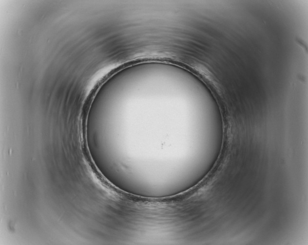 X0000103301030200808291126