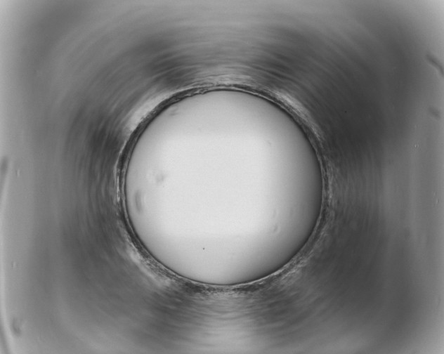 X0000103301031200808291126