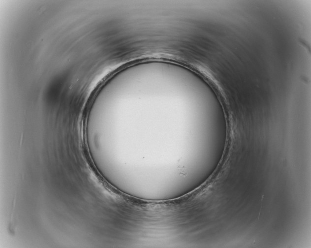 X0000103301032200808291126