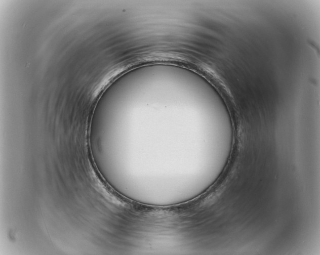 X0000103301033200808291126