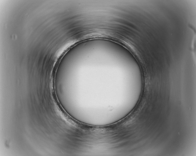 X0000103301034200808291126