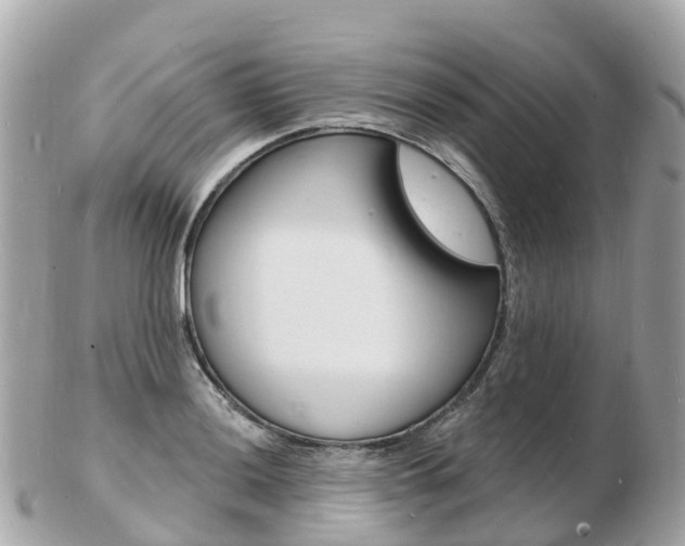 X0000103301036200808291126