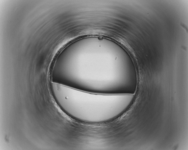 X0000103301037200808291126