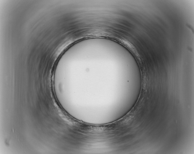 X0000103301039200808291126