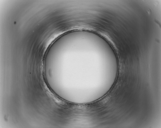 X0000103301040200808291126
