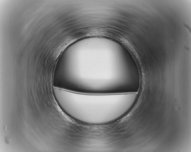 X0000103301041200808291126