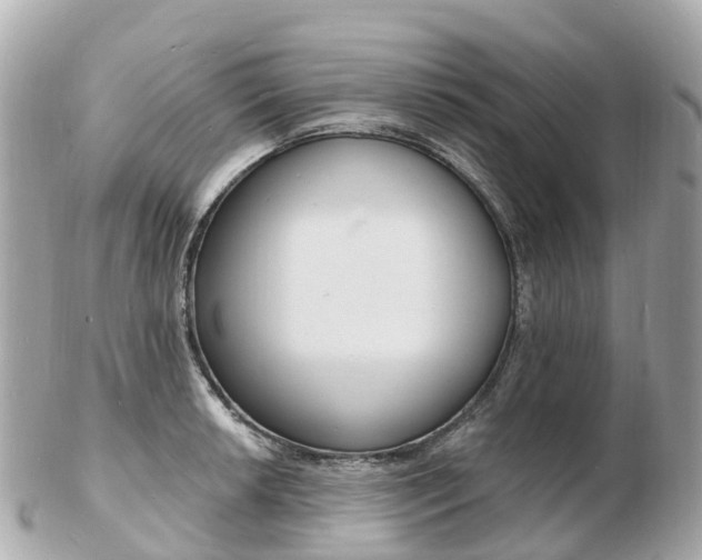 X0000103301042200808291126
