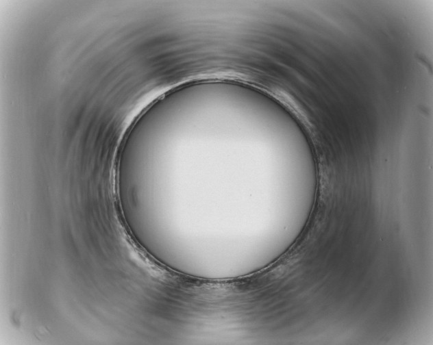 X0000103301044200808291126