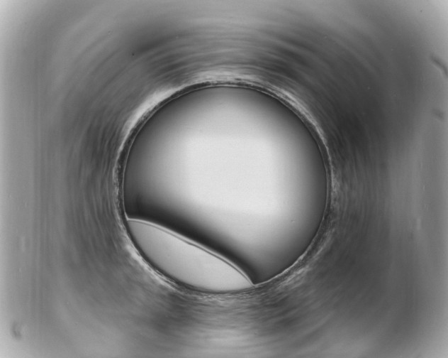 X0000103301045200808291126