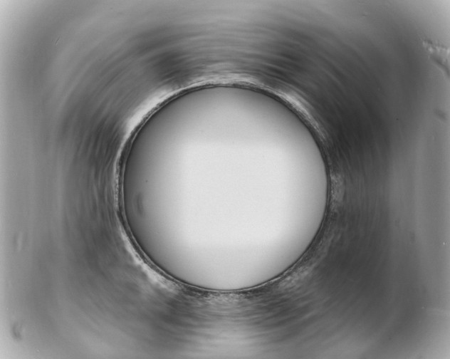 X0000103301046200808291126