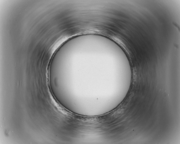X0000103301047200808291126