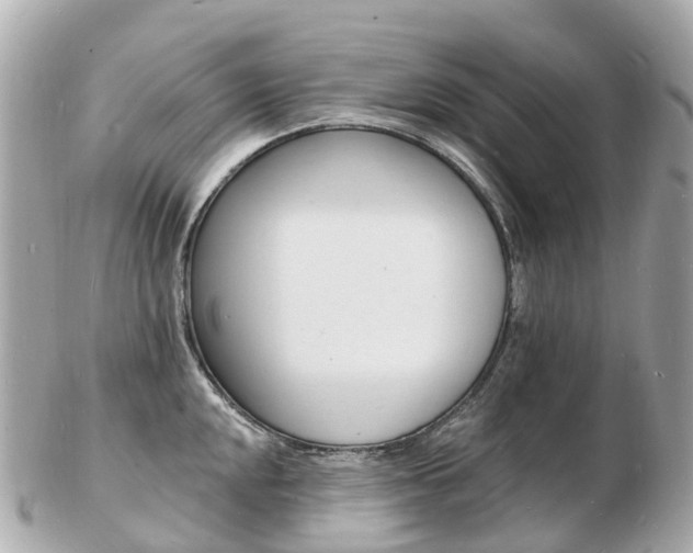 X0000103301048200808291126