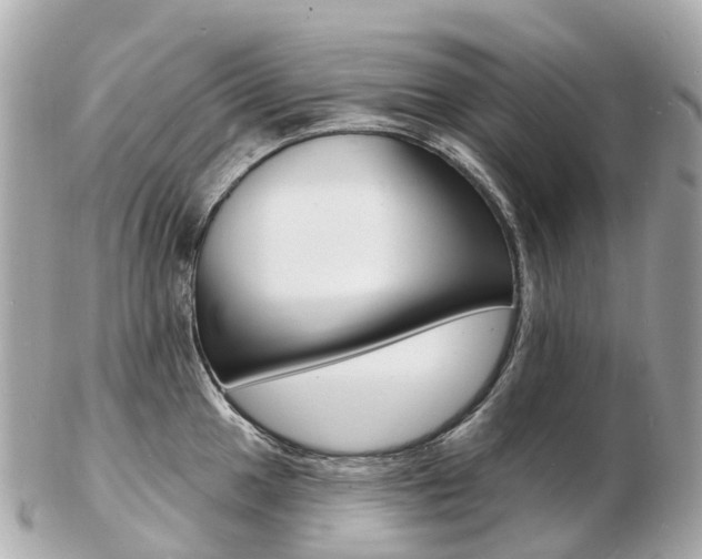 X0000103301049200808291126
