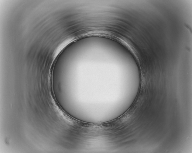 X0000103301050200808291126