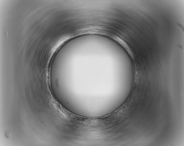 X0000103301051200808291126