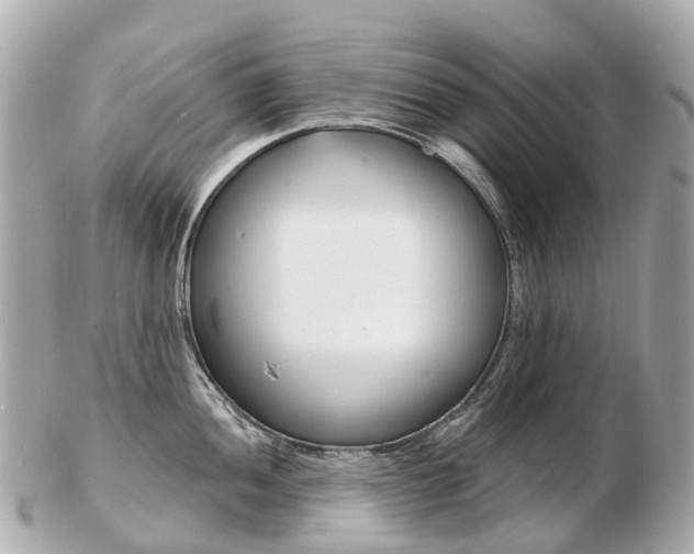 X0000103301052200808291126