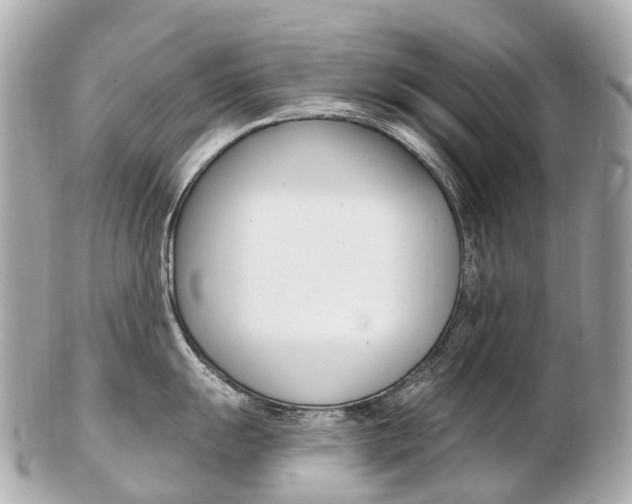 X0000103301055200808291126