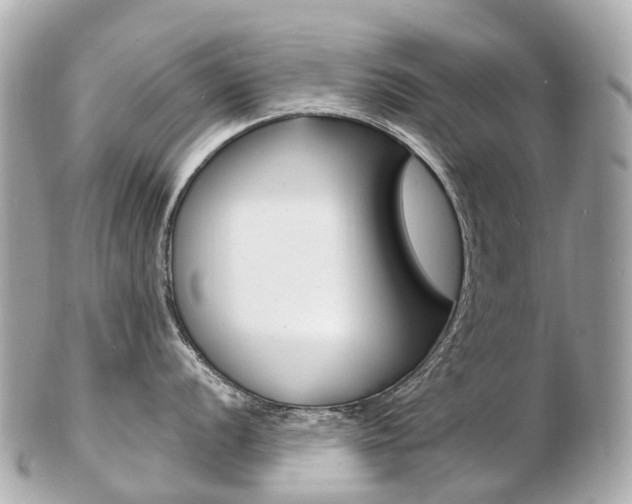 X0000103301056200808291126
