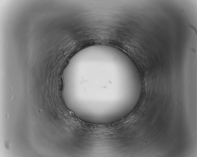X0000103301057200808291125