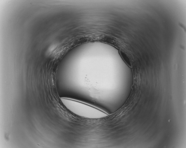 X0000103301058200808291125
