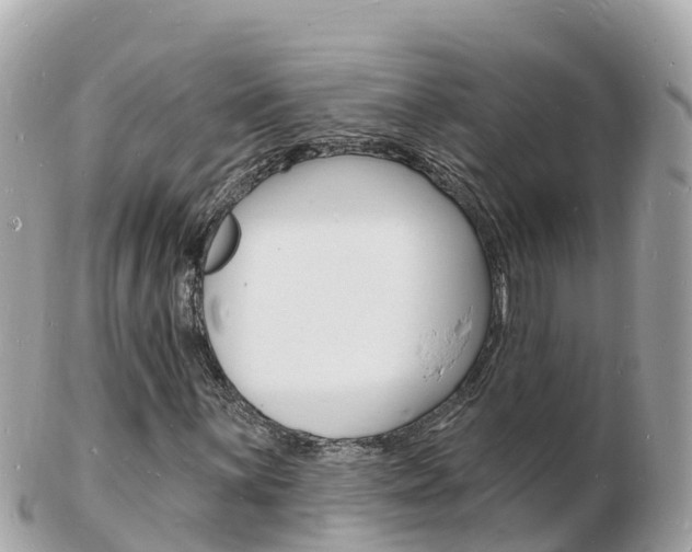 X0000103301059200808291125
