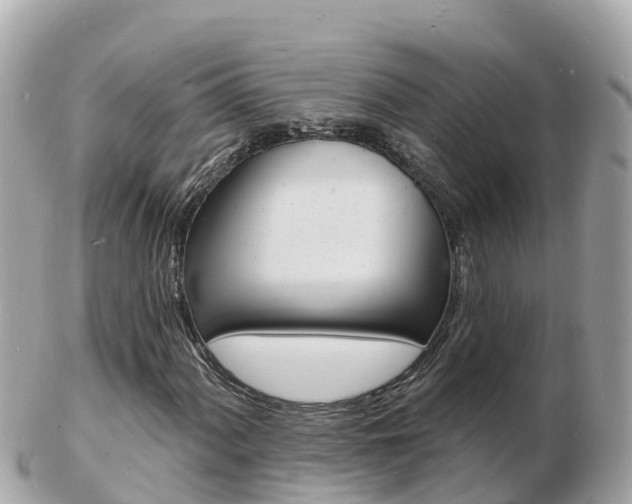 X0000103301060200808291125